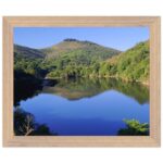 e882f557-8e42-406f-9495-0f4057714130