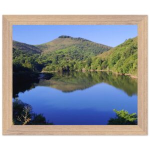 e882f557-8e42-406f-9495-0f4057714130